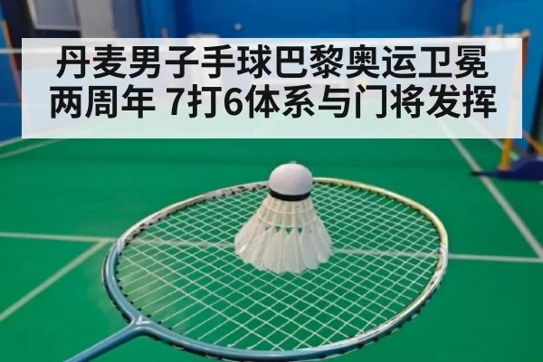 丹麦男子手球巴黎奥运卫冕两周年 7打6体系与门将发挥